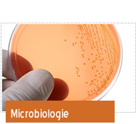 Produse Microbiologie